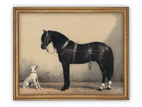 READY to SHIP 12x16 Vintage Framed Canvas Art // Framed Vintage Print // Horse and Dog Equestrian Art // Farmhouse print //#A-124