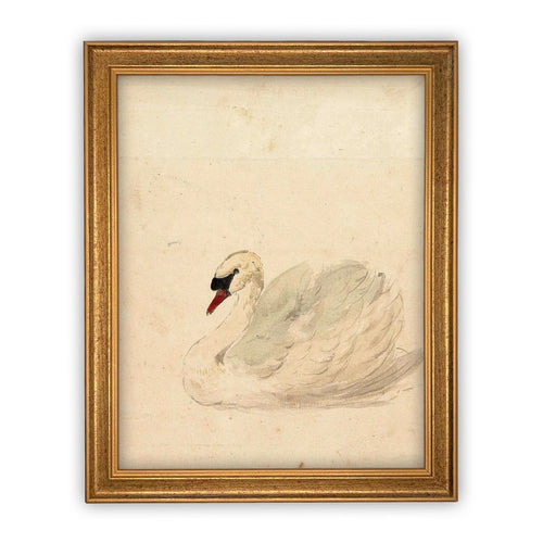 READY to SHIP 11x14 Vintage Framed Canvas Art // Framed Vintage Print // White Swan Art // Girls Room or Nursery print //#A-101