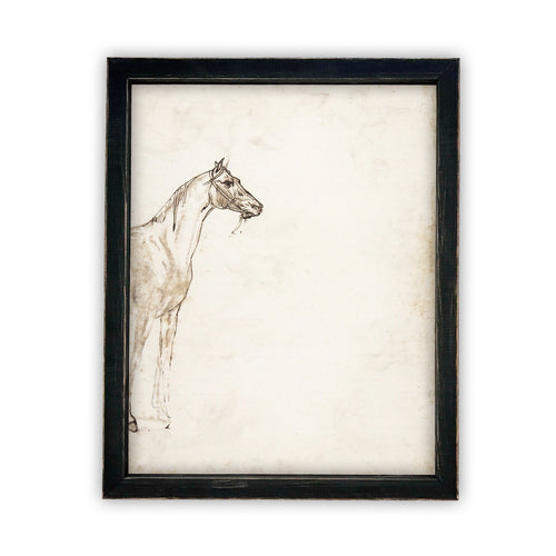 READY to SHIP 18x24 Vintage Framed Canvas Art // Framed Vintage Print // Vintage Horse Sketch Art// Farmhouse print //#A-130
