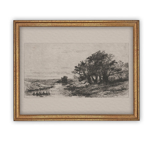 READY to SHIP 8x10 Vintage Framed Canvas Art // Framed Vintage Etching Print // Black White Oak Tree Sketch // Farmhouse print //#LAN-134