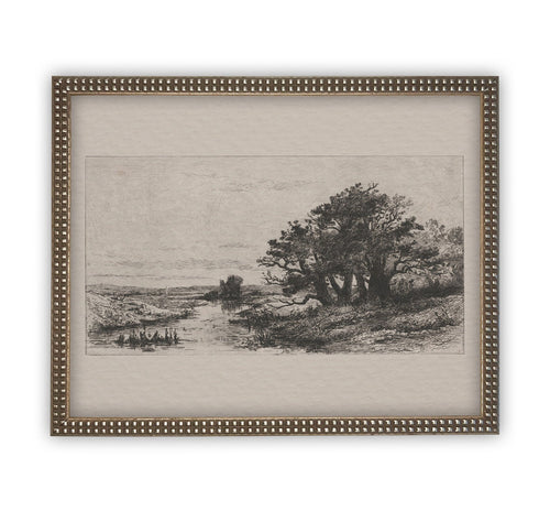 READY to SHIP 8x10 Vintage Framed Canvas Art // Framed Vintage Etching Print // Black White Oak Tree Sketch // Farmhouse print //#LAN-134