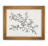Framed Botanical Sketch /#BOT-119