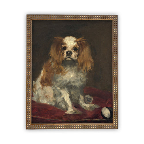 READY to SHIP 8x10 Vintage Framed Canvas Art // Framed Vintage Print // Vintage Dog Art// Cavalier King Charles Spaniel //#A-115