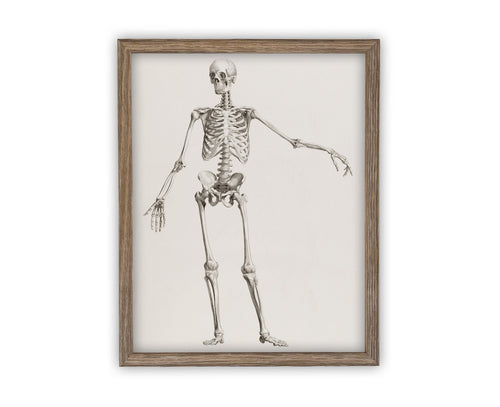 READY to SHIP 11x14 Vintage Framed Canvas Art // Vintage Halloween Painting // Skeleton Sketch Wall Art // Halloween print //#H-105