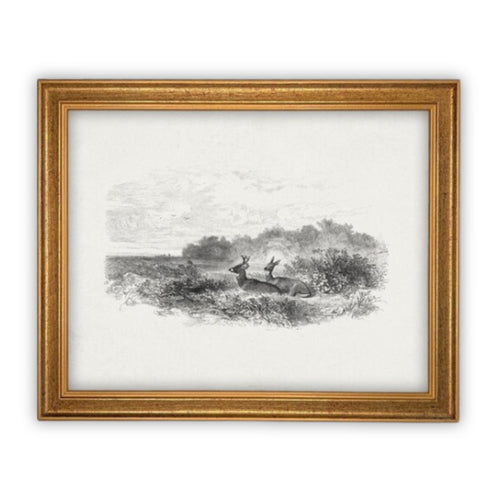READY to SHIP 11X14 Vintage Framed Canvas Art // Framed Vintage Print // Black White Tree Sketch with Deer // Minimalist Art //#LAN-226