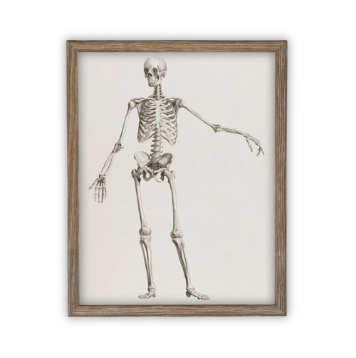 Vintage Framed Canvas Skeleton Sketch Art #H-105