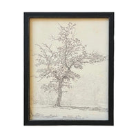 Vintage Framed Canvas Art  // Framed Vintage Print // Vintage Painting // Black White Tree Sketch // Farmhouse print //#BOT-116