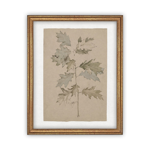Vintage Framed Canvas Art  // Framed Vintage Print // Vintage Painting // Vintage Botanical Floral // Farmhouse print //#BOT-113