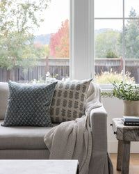 Designer "Franklin" Pillow Cover