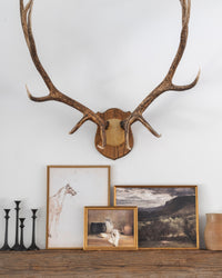 READY to SHIP 11x14 Framed Vintage Kitchen Still Life Canvas Art Print