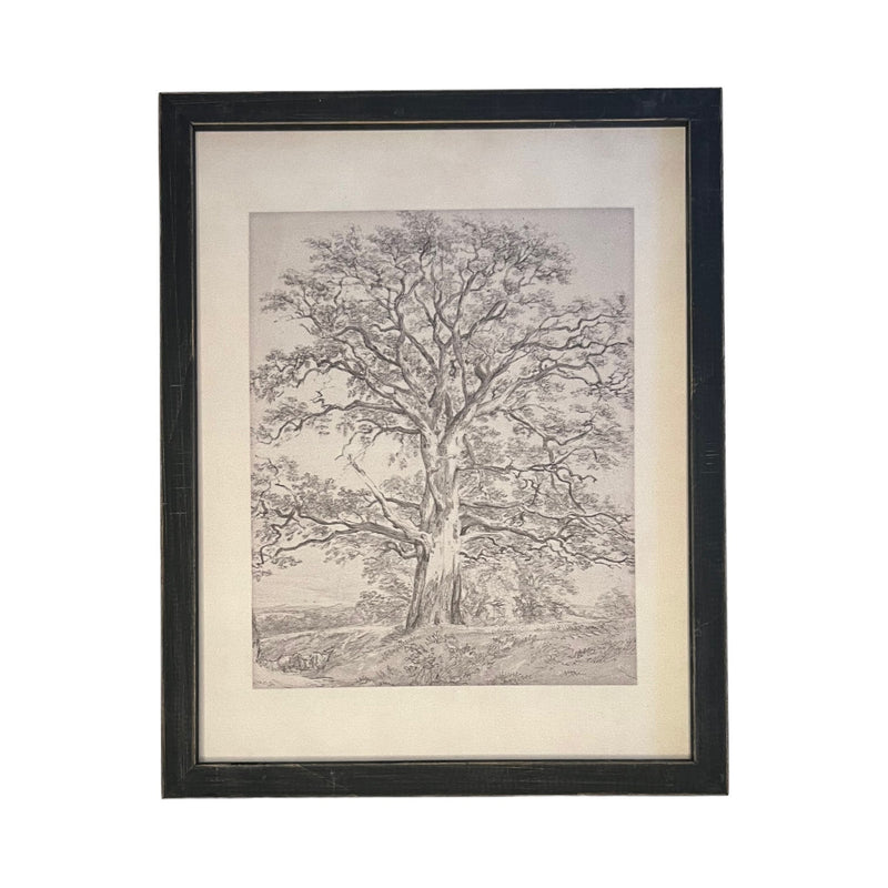 READY to SHIP 8x10 Vintage Framed Canvas Art // Framed Vintage Print // Black White Tree Sketch // Farmhouse print //#BOT-121