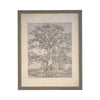 READY to SHIP 18x24 Vintage Framed Canvas Art // Framed Vintage Print // Black White Tree Sketch // Farmhouse print //#BOT-121