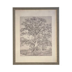 READY to SHIP 8x10 Vintage Framed Canvas Art // Framed Vintage Print // Black White Tree Sketch // Farmhouse print //#BOT-121