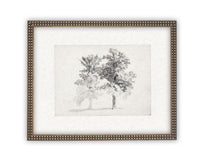 READY TO SHIP 16x20 Framed Canvas Print: Black and White Tree Sketch