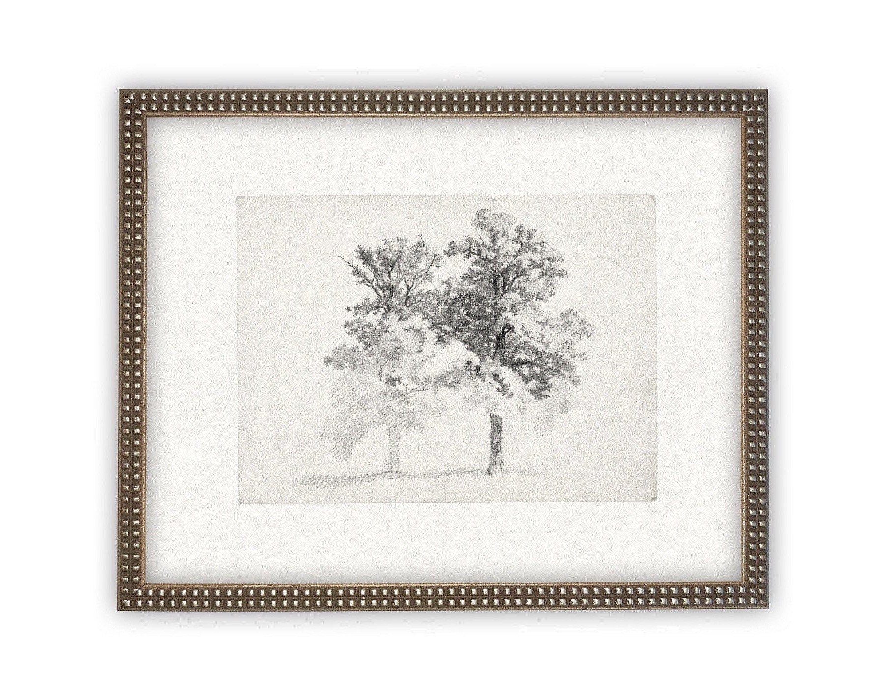 READY TO SHIP 16x20 Framed Canvas Print: Black and White Tree Sketch