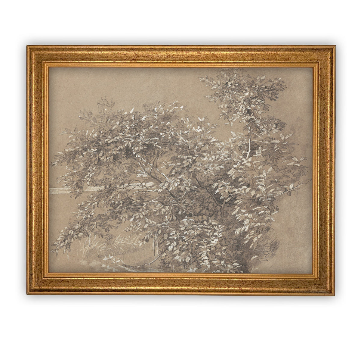 READY to SHIP 30x40 Vintage Framed Canvas Art #BOT-112