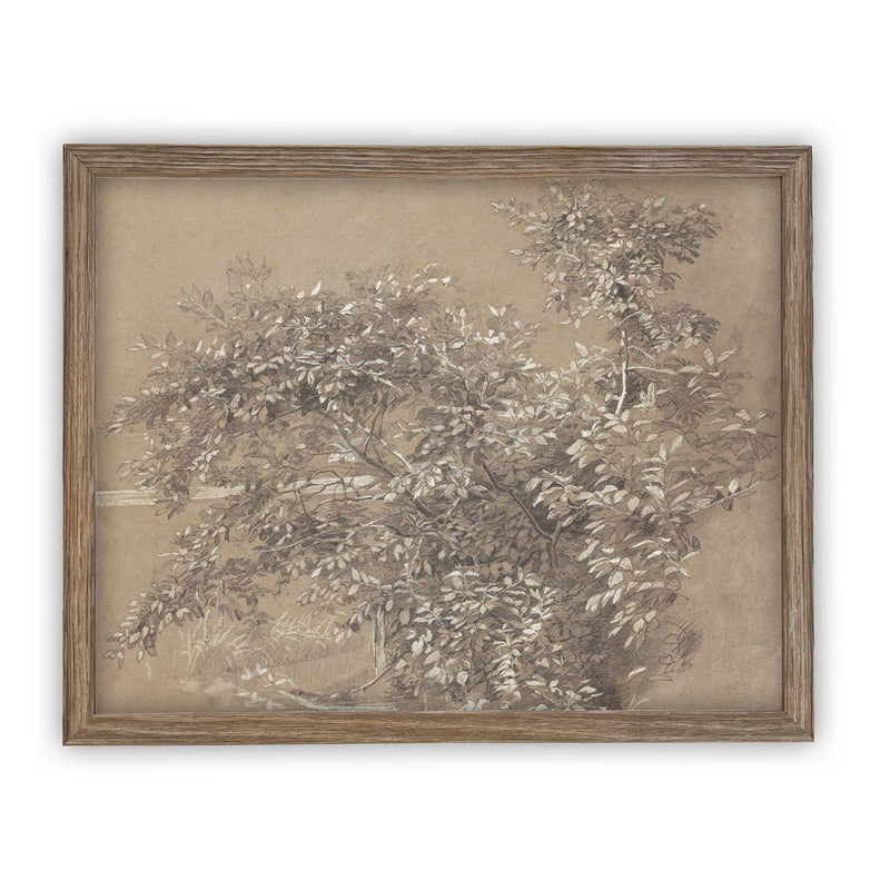 READY to SHIP 30x40 Vintage Framed Canvas Art // Vintage Painting // Neutral Botanical Sketch // Farmhouse print //#BOT-112