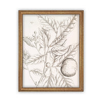 READY to SHIP 11x14 Vintage Framed Canvas Art #BOT-117