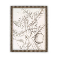 READY to SHIP 11x14 Vintage Framed Canvas Art #BOT-117