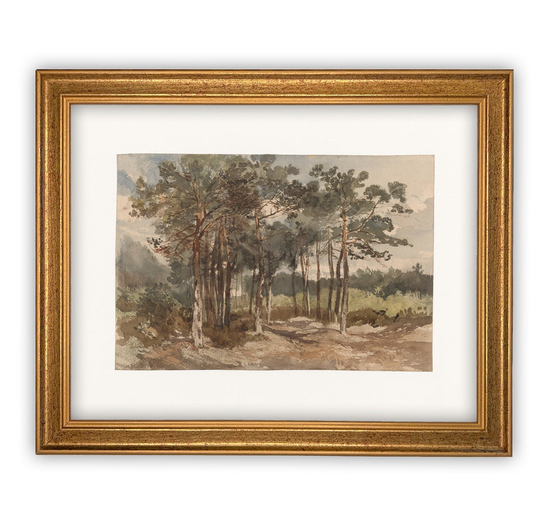 Framed Country Landscape #LAN-114