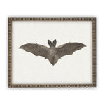 Vintage Framed Canvas Art Bat #H-101