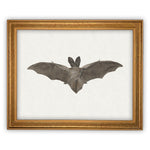 Vintage Framed Canvas Art Bat #H-101