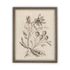 READY to SHIP 11x14 Vintage Framed Canvas Art // Framed Vintage Print // Botanical Floral Sketch // Farmhouse print //#BOT-115