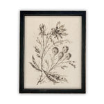 READY to SHIP 11x14 Vintage Framed Canvas Art // Framed Vintage Print // Botanical Floral Sketch // Farmhouse print //#BOT-115