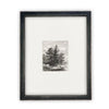 READY to SHIP 18x24 Vintage Framed Canvas Art // Framed Vintage Print // Black White Tree Sketch // Minimalist Art //#LAN-108