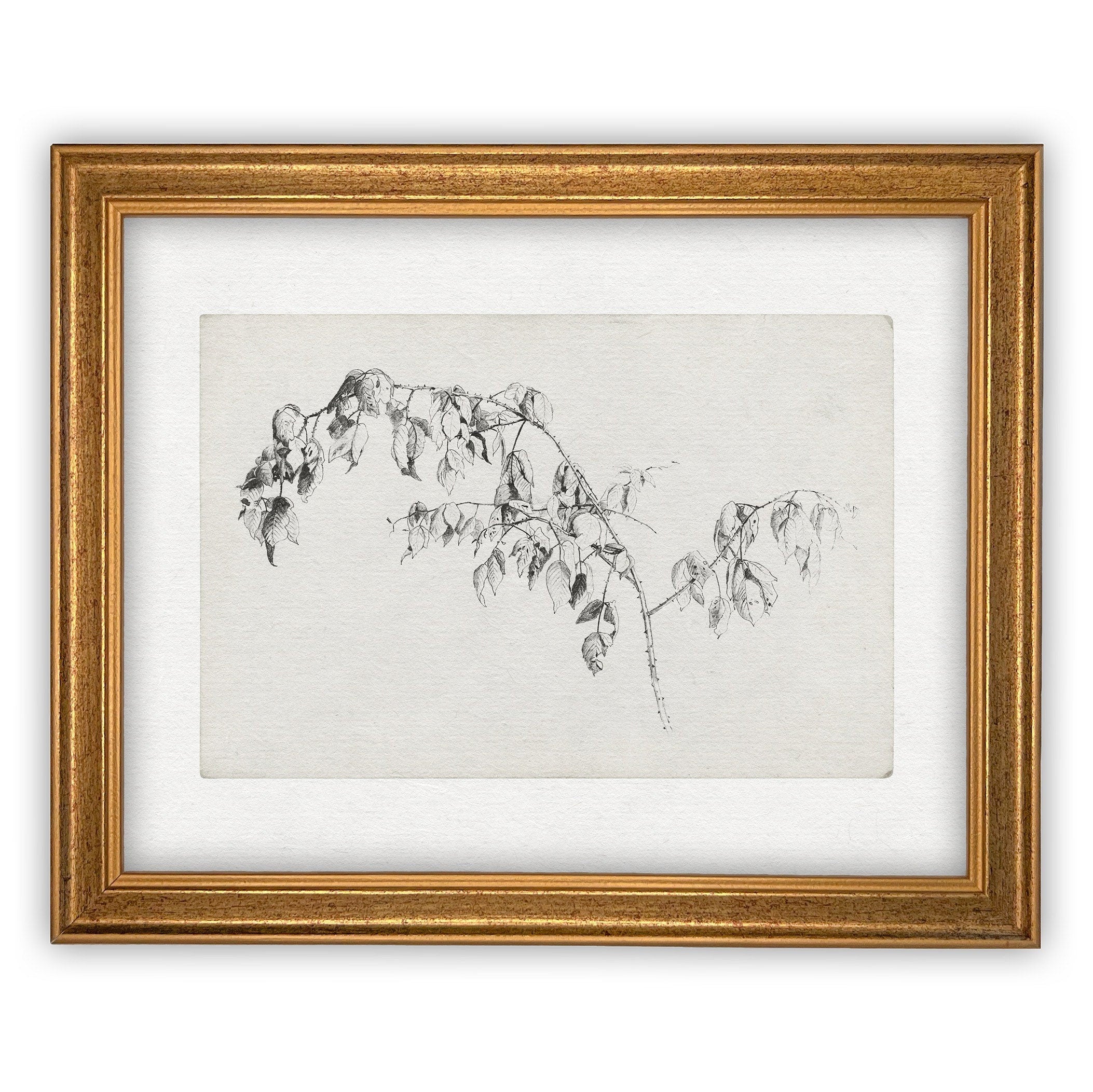 Framed Canvas Art #BOT-120