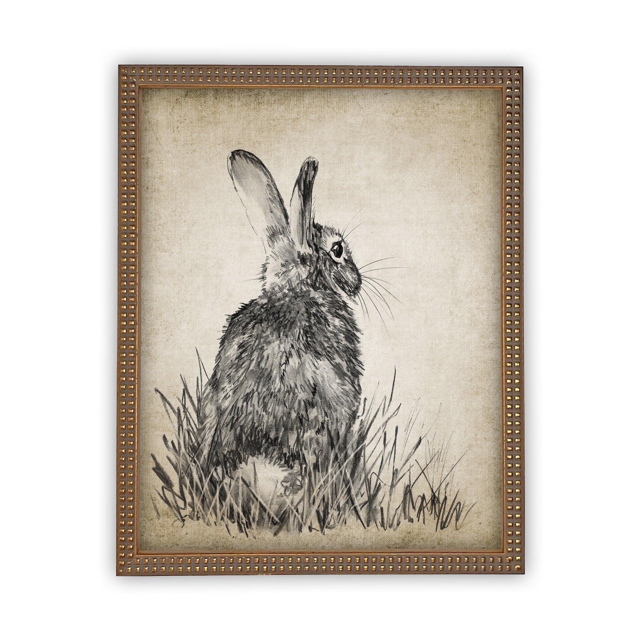READY TO SHIP 11X14 Vintage Framed Canvas Art // Framed Easter Art // Vintage Rabbit Print // Girls Room or Nursery print //#A-148