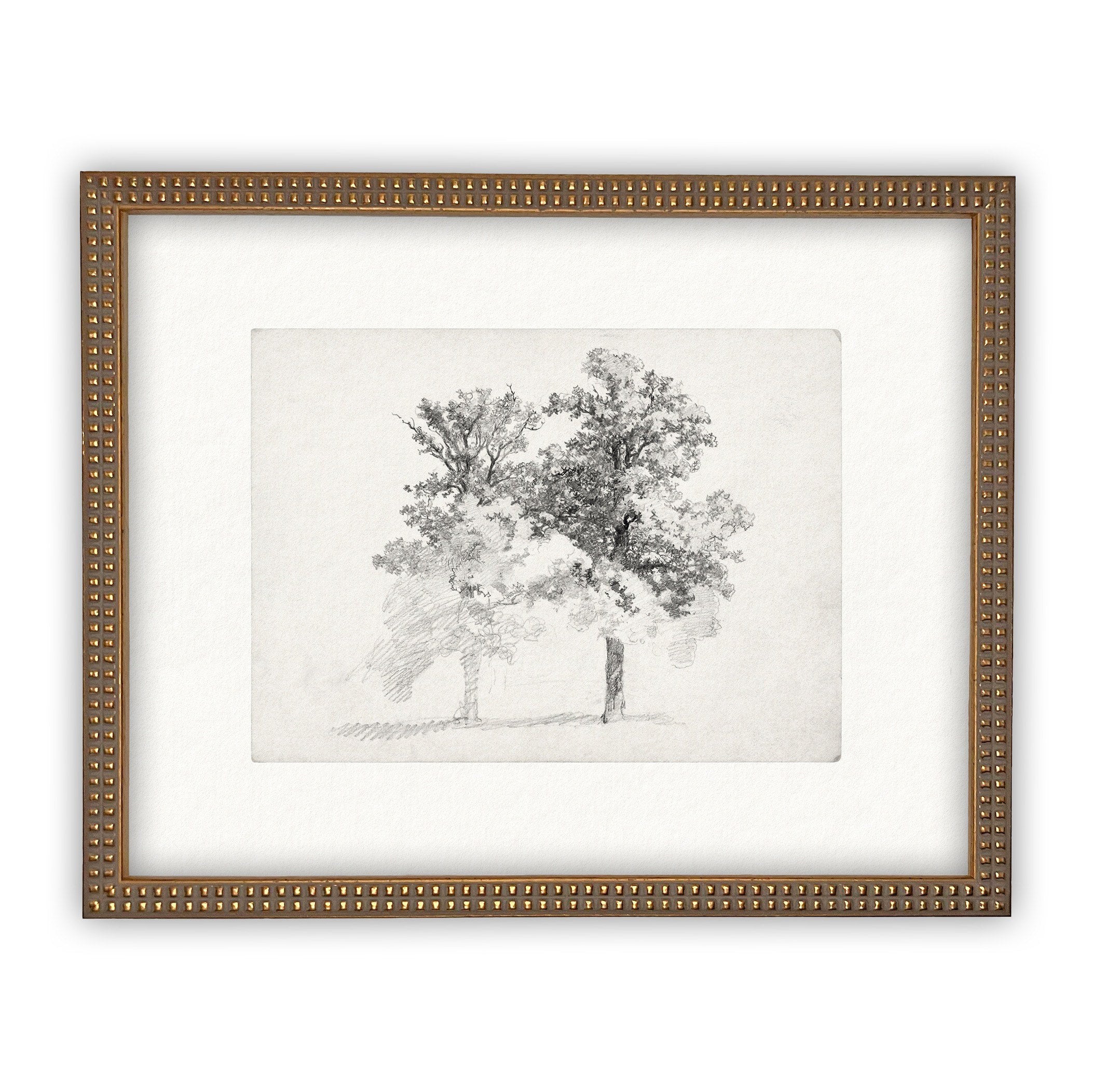 READY TO SHIP 16x20 Framed Canvas Print: Black and White Tree Sketch