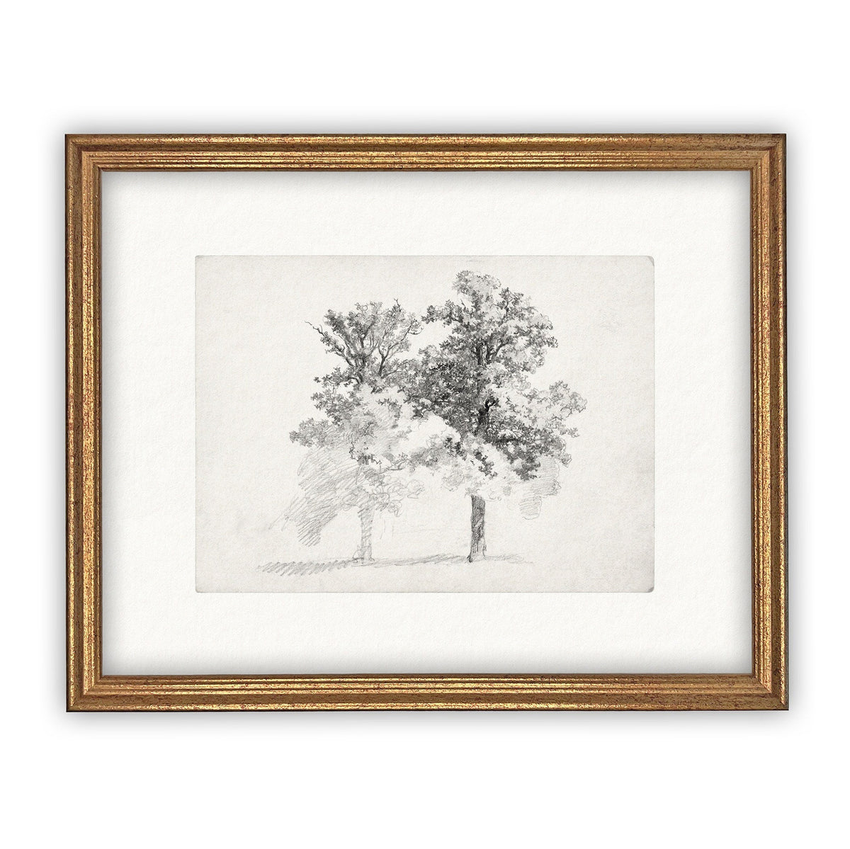 READY TO SHIP 16x20 Framed Canvas Print: Black and White Tree Sketch