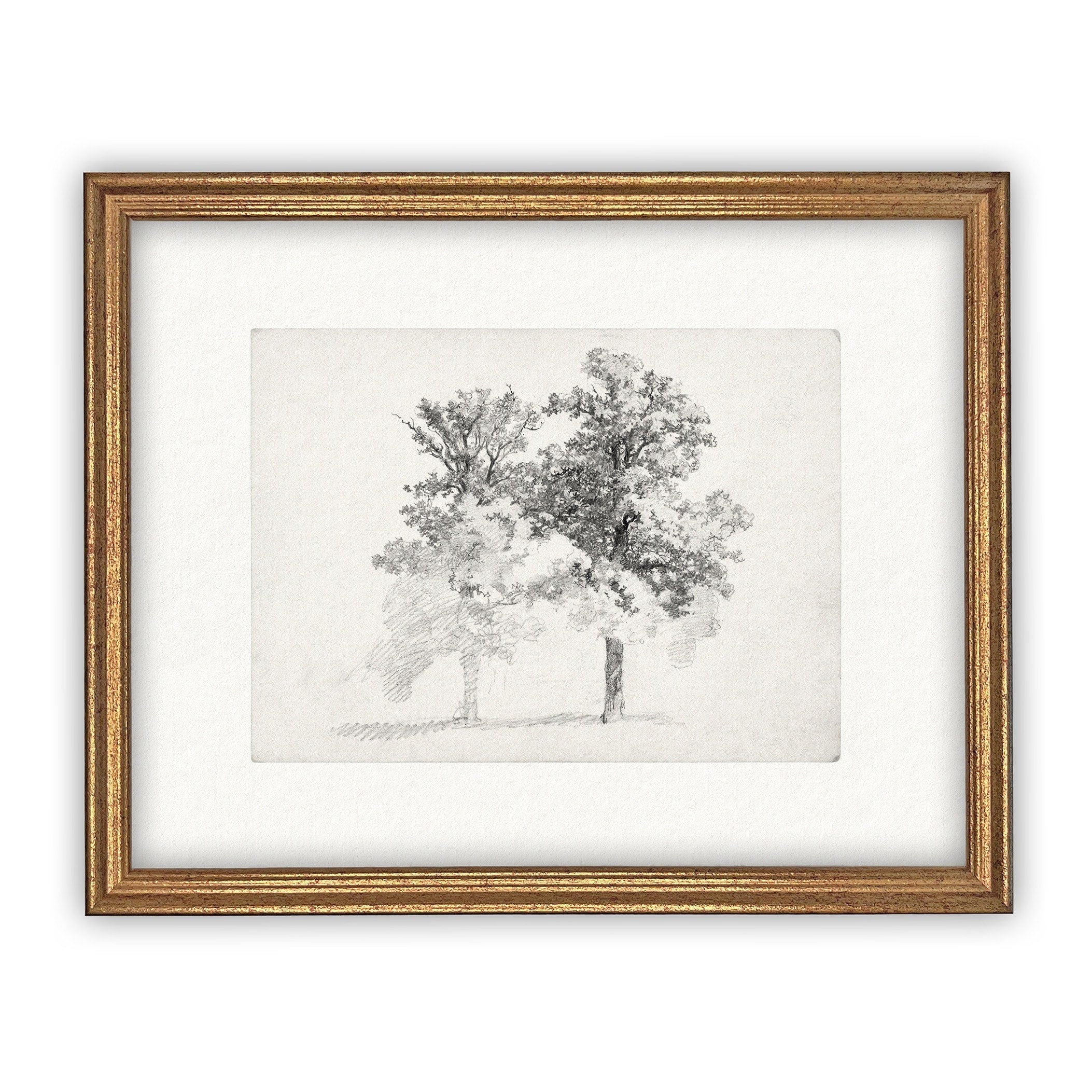 READY TO SHIP 16x20 Framed Canvas Print: Black and White Tree Sketch