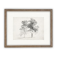 READY TO SHIP 16x20 Framed Canvas Print: Black and White Tree Sketch