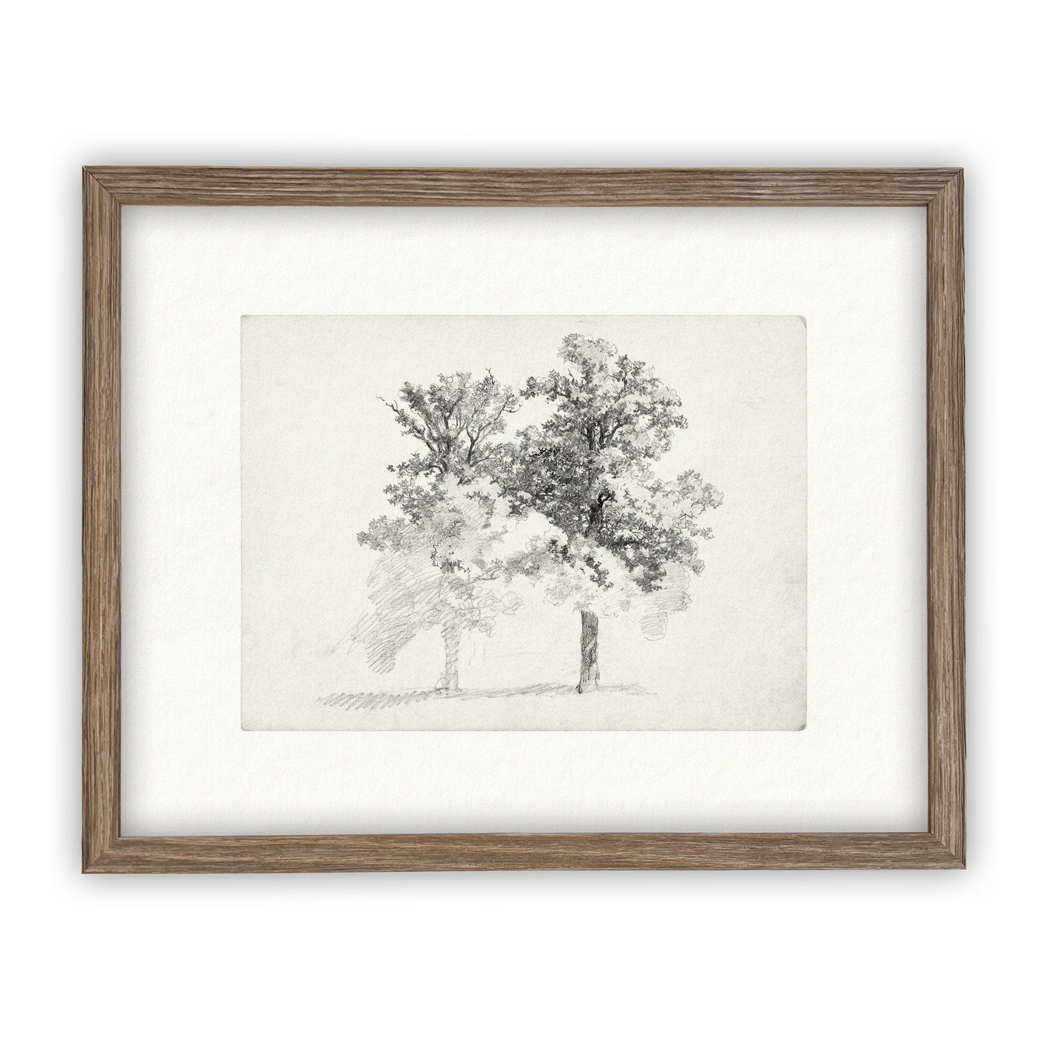 READY TO SHIP 16x20 Framed Canvas Print: Black and White Tree Sketch