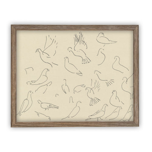 READY to SHIP 11x14 Vintage Framed Canvas Art // Framed Vintage Print // Vintage Bird Painting // Dove Sketch // Farmhouse print //#A-100