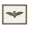 Vintage Framed Canvas Art Bat #H-101