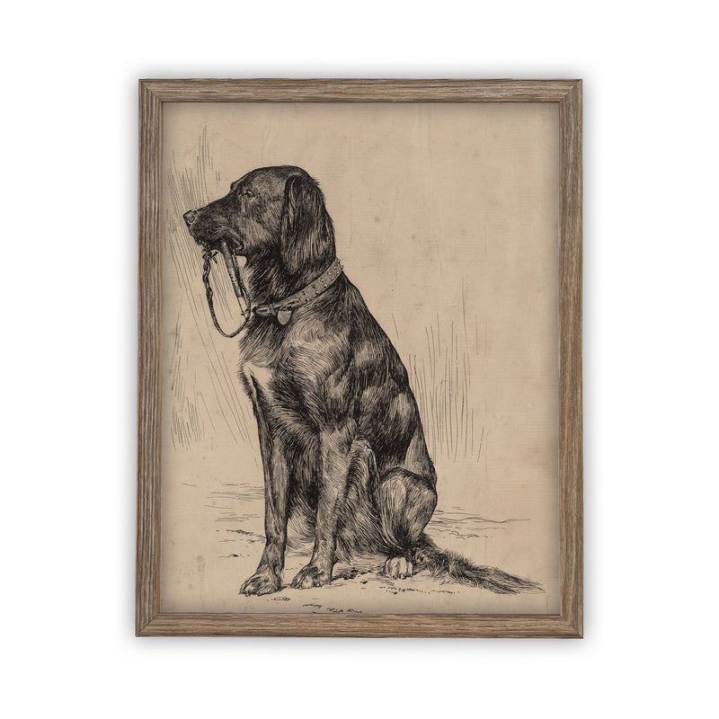 READY TO SHIP 11X14 Vintage Framed Canvas Art // Framed Vintage Print // Black Labrador Painting // Vintage Dog Art// Boys Room //#A-116