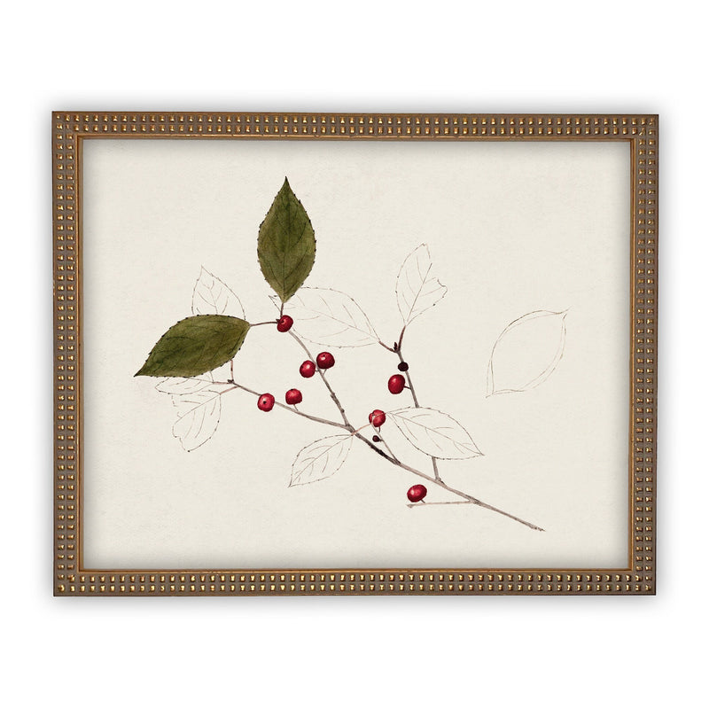 READY to SHIP 11x14 Vintage Framed Christmas Print // Framed Christmas Botanical // Modern Farmhouse //#CH-303