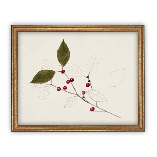 READY to SHIP 11x14 Vintage Framed Christmas Print // Framed Christmas Botanical // Modern Farmhouse //#CH-303