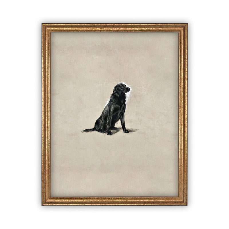 Ready To Ship 11X14 Vintage Framed Canvas Art // Black Labrador Painting // Vintage Dog Art// Boys Room or Nursery print //#A-118