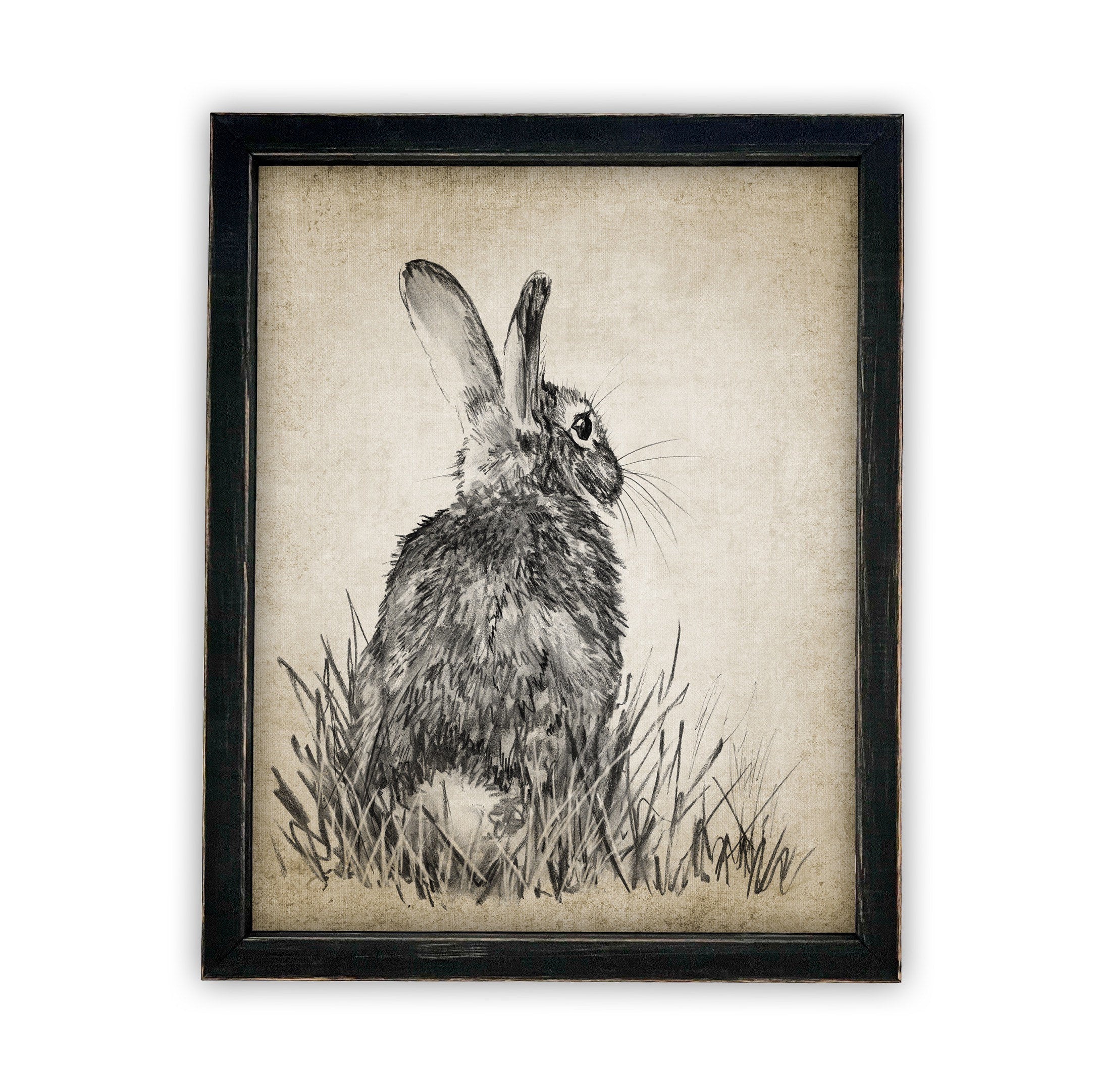 READY TO SHIP 16X20 Vintage Framed Canvas Art #A-148