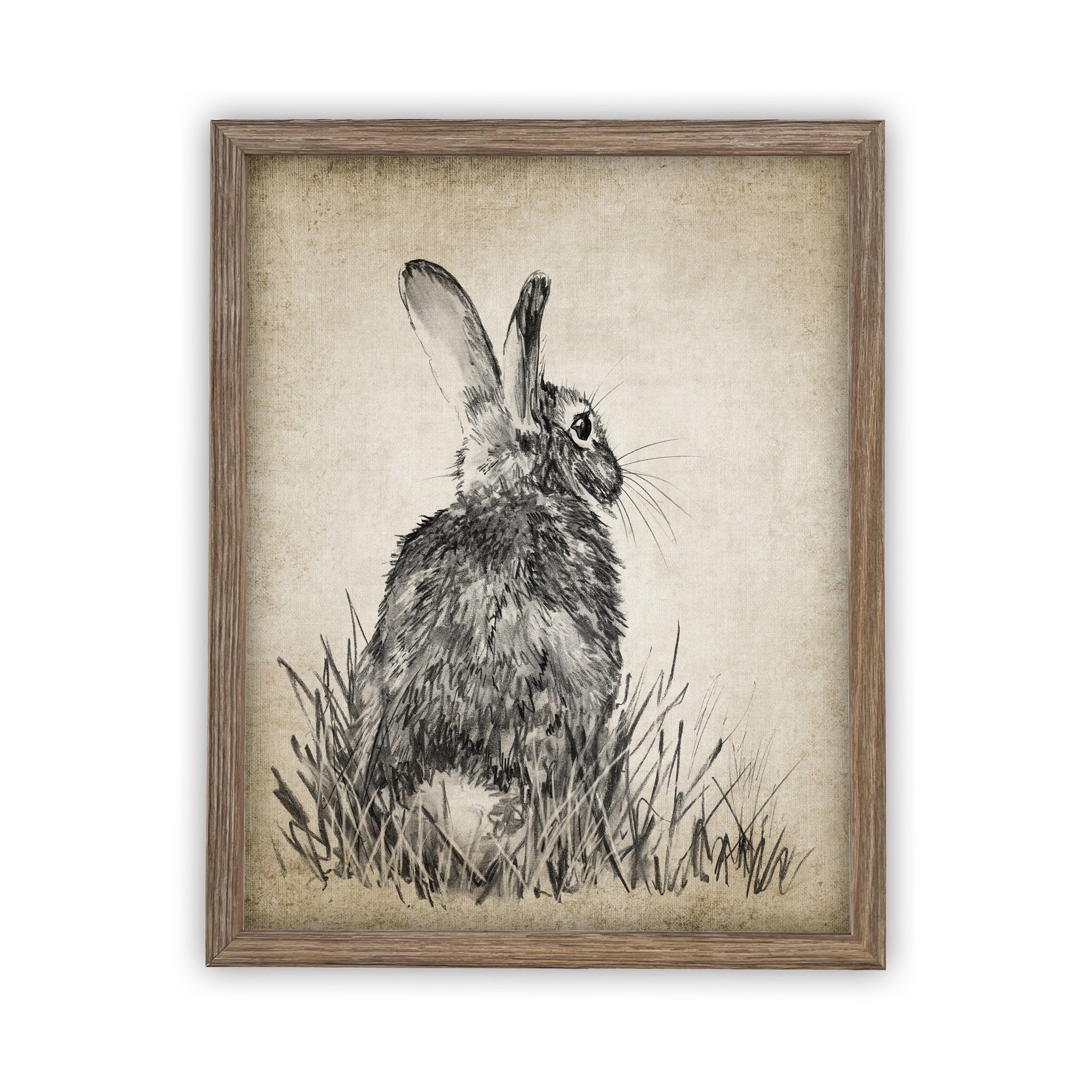 READY TO SHIP 11X14 Vintage Framed Canvas Art // Framed Easter Art // Vintage Rabbit Print // Girls Room or Nursery print //#A-148