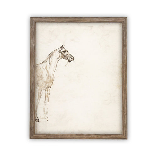 READY to SHIP 18x24 Vintage Framed Canvas Art // Framed Vintage Print // Vintage Horse Sketch Art// Farmhouse print //#A-130