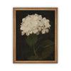 READY to SHIP 24x36 Vintage Framed Canvas Art // Framed Vintage Print // Framed Vintage Hydrangea // Botanical Floral Art //#BOT-103