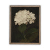 READY to SHIP 24x36 Vintage Framed Canvas Art // Framed Vintage Print // Framed Vintage Hydrangea // Botanical Floral Art //#BOT-103