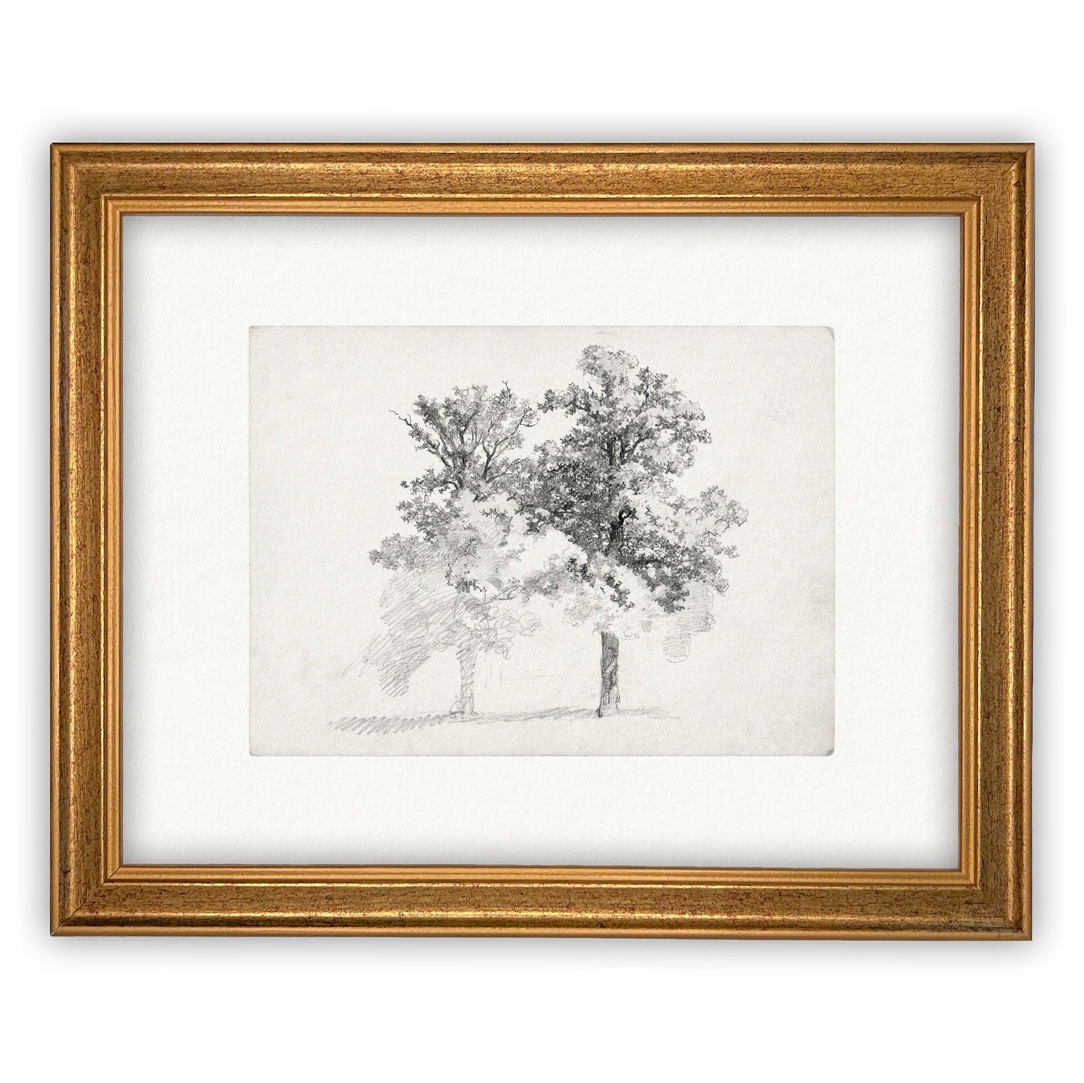 READY TO SHIP 16x20 Framed Canvas Print: Black and White Tree Sketch