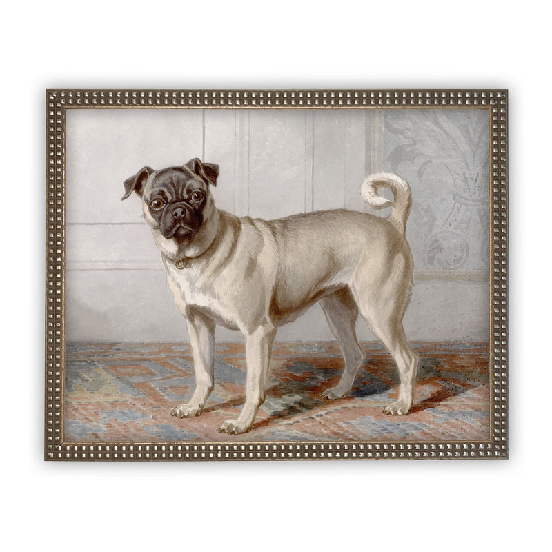 Ready to Ship 11x14 Vintage Framed Canvas Art // Framed Vintage Print // Pug Dog Painting // Vintage Dog Art //#A-114