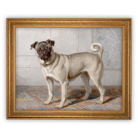 Ready to Ship 11x14 Vintage Framed Canvas Art // Framed Vintage Print // Pug Dog Painting // Vintage Dog Art //#A-114
